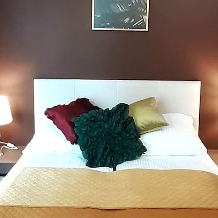 Luxury Apartment - Rakowicka 6 Краків Екстер'єр фото