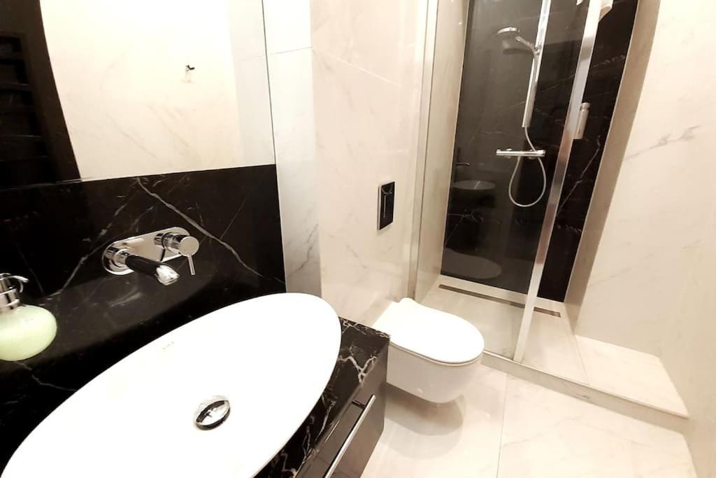 Luxury Apartment - Rakowicka 6 Краків Екстер'єр фото