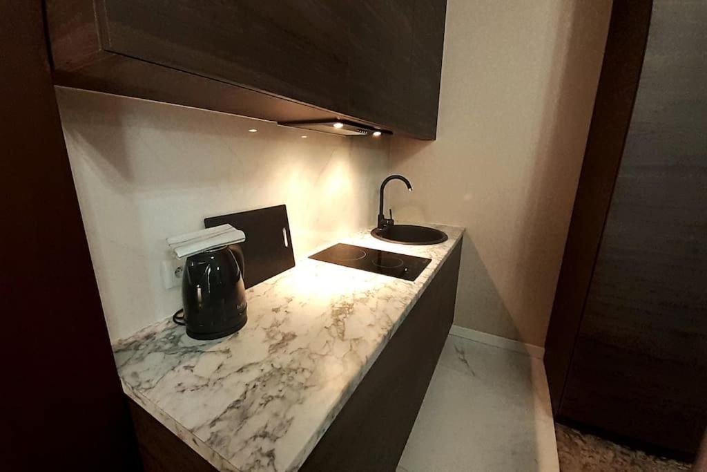 Luxury Apartment - Rakowicka 6 Краків Екстер'єр фото