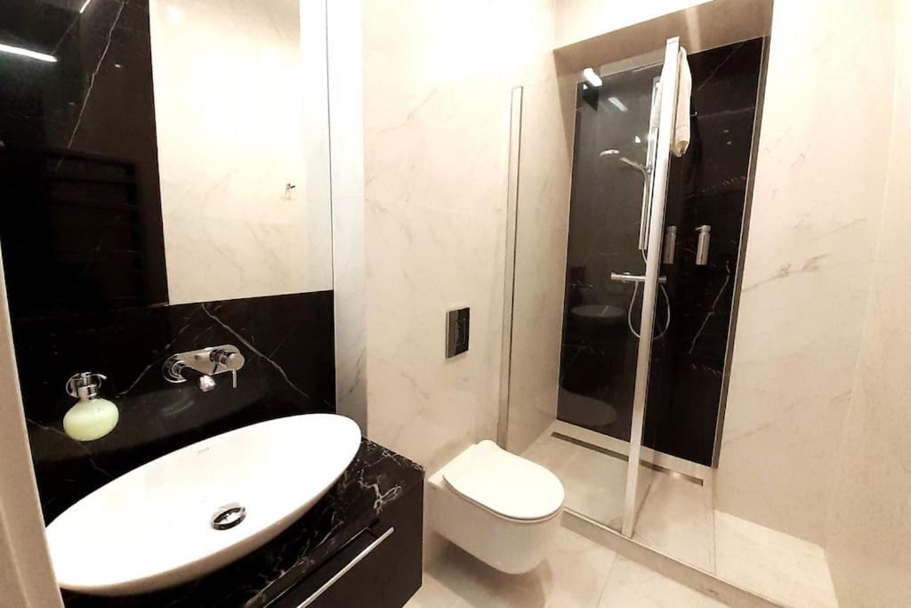 Luxury Apartment - Rakowicka 6 Краків Екстер'єр фото